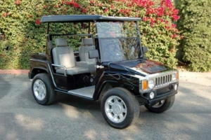 affordable golf cart rental, golf cart rent tempe golf cart rental